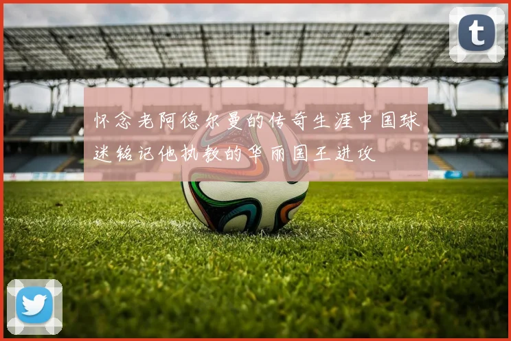 怀念老阿德尔曼的传奇生涯中国球迷铭记他执教的华丽国王进攻