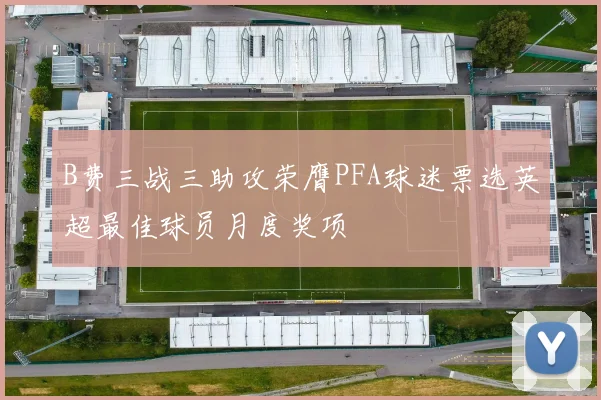 B费三战三助攻荣膺PFA球迷票选英超最佳球员月度奖项