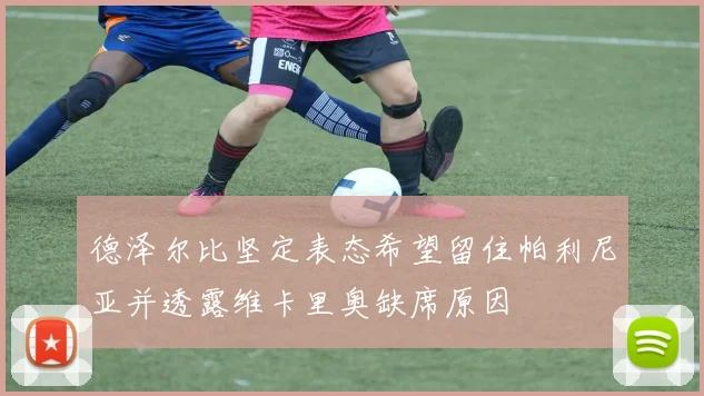 德泽尔比坚定表态希望留住帕利尼亚并透露维卡里奥缺席原因