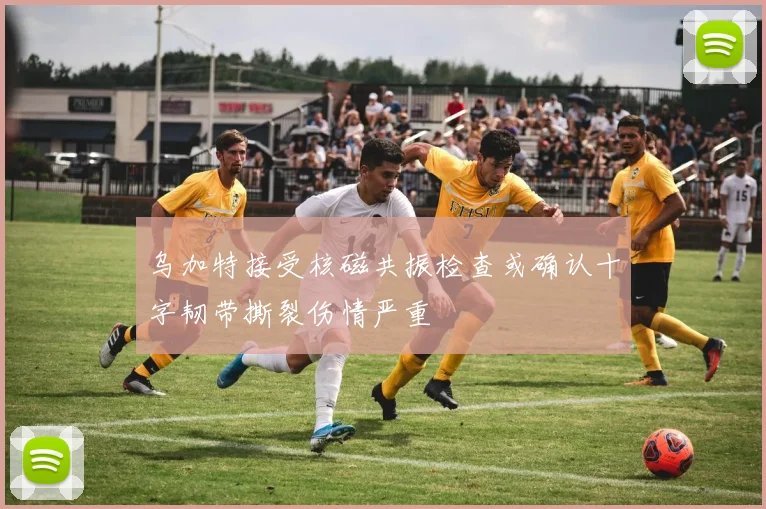 乌加特接受核磁共振检查或确认十字韧带撕裂伤情严重